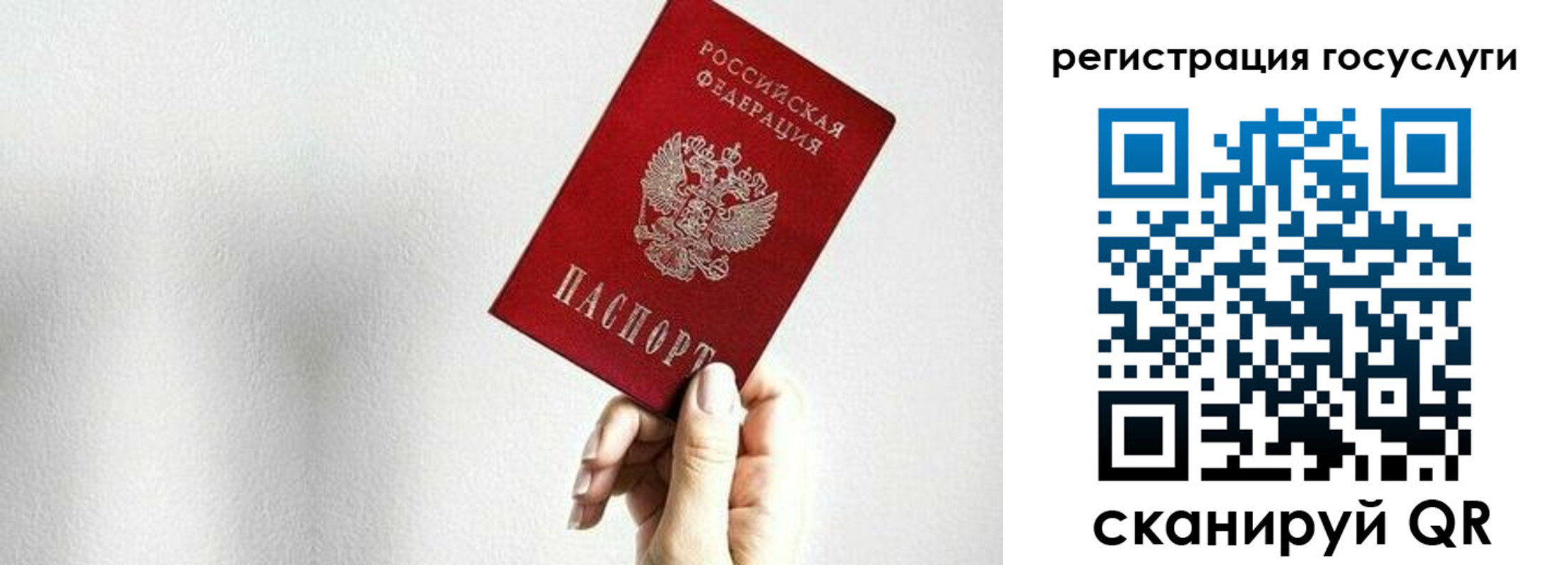 временная регистрация гарантия в Димитровграде